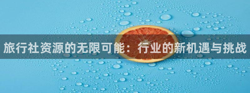 海角社区 原创：旅行社资源的无限可能：行