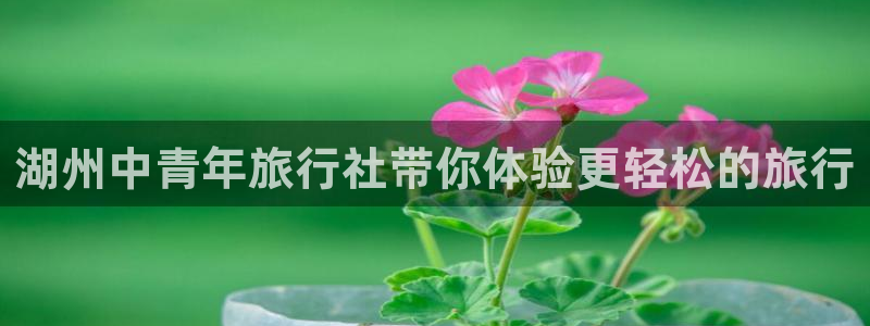 海角社区官网首页登录网址是什么：湖州中青