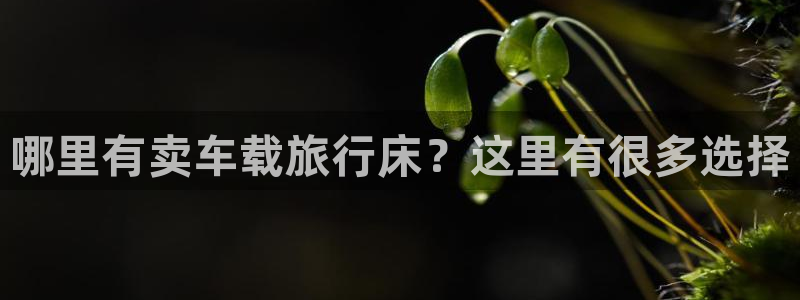 #海角社区：哪里有卖车载旅行床？这里有很