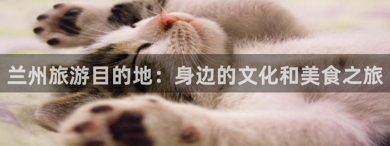 海角社区中文字幕：兰州旅游目的地：身边的