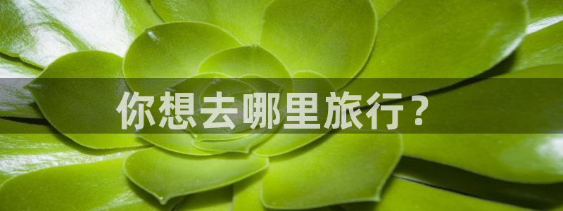 “海角社区 最新：你想去哪里旅行？